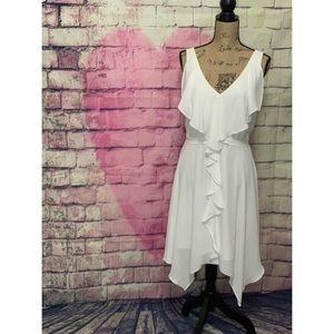 (NWT) BCBGMax Azria Women’s Jessica Flirty Dress